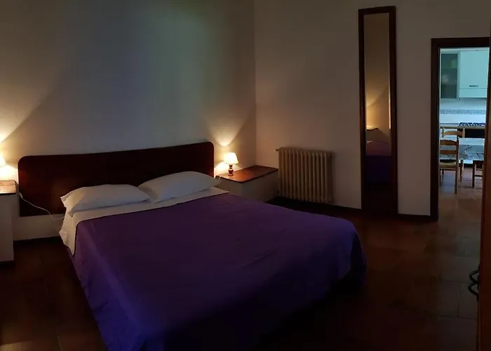 아파트 Selva - App B